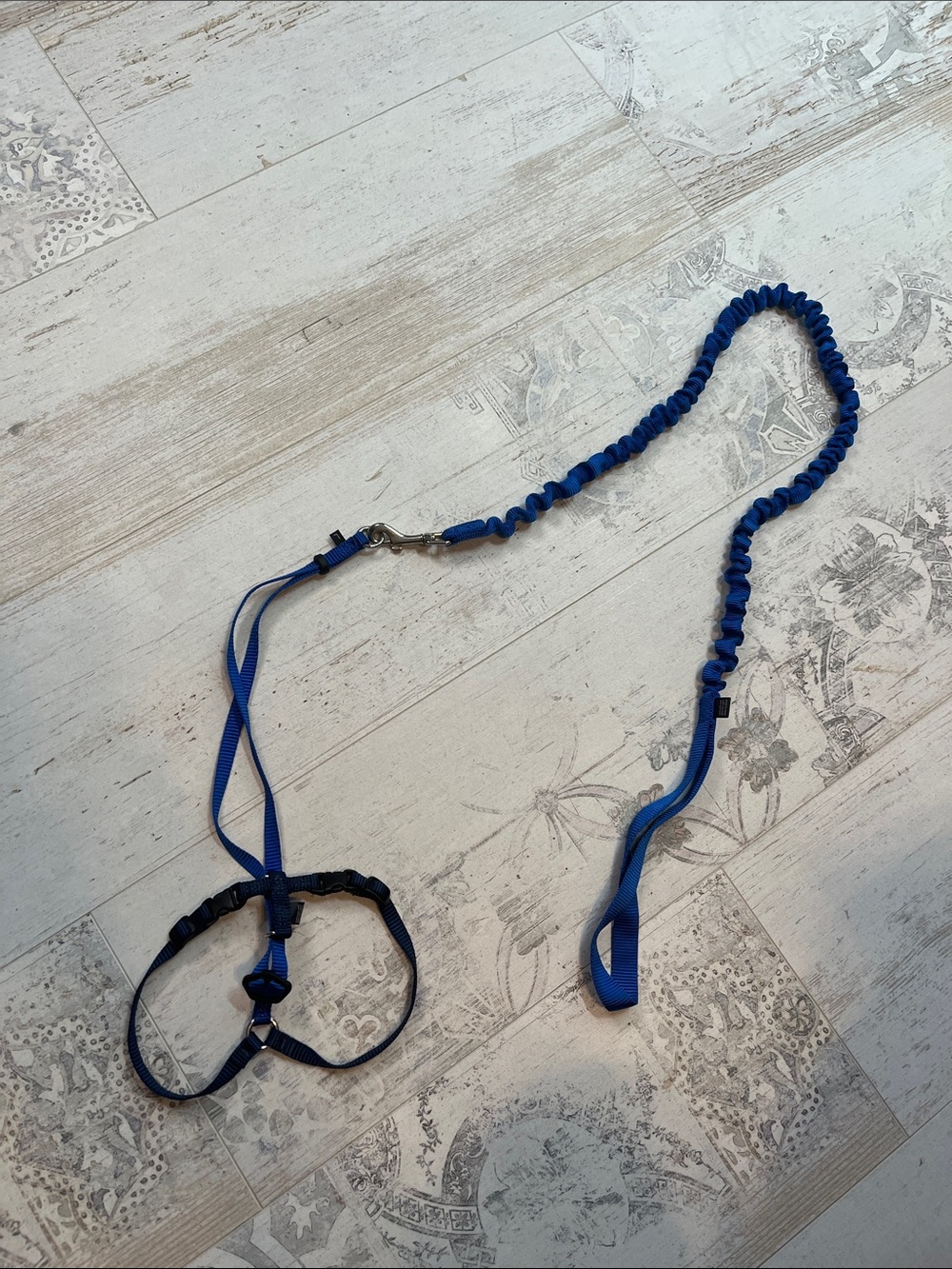 Petsafe Blue Cat Harness and Leash Size Large